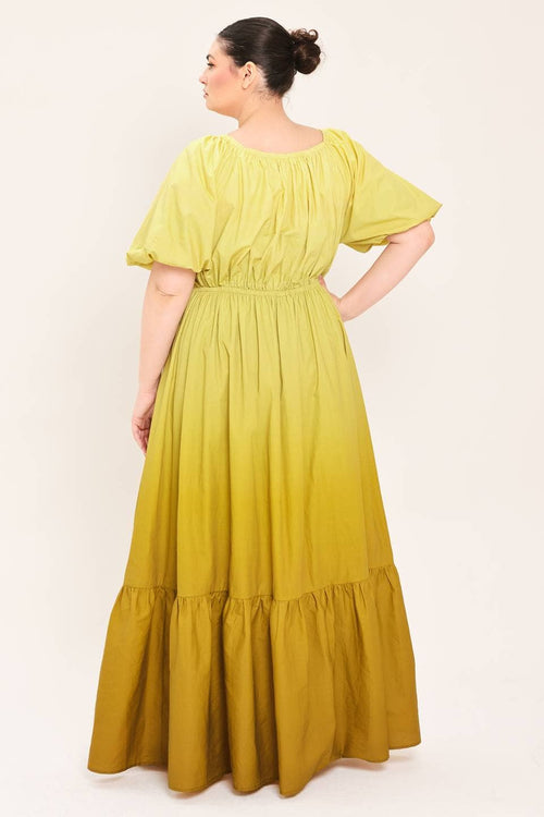 Amber Plus Size