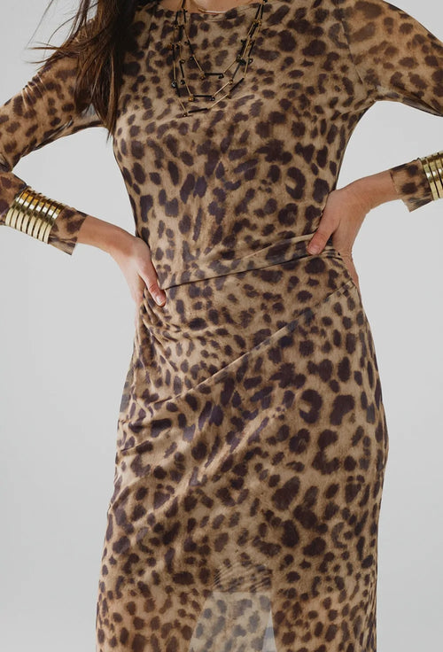 Sheer Long Sleeve Leopard Print Bodycon Midi Dress