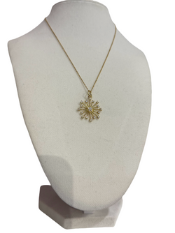 Center of Attraction