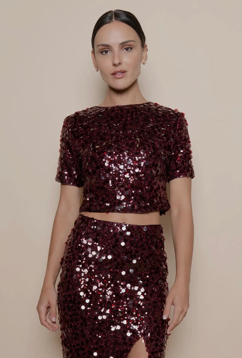 Ravishing Ruby Sequins Holiday Crop Top