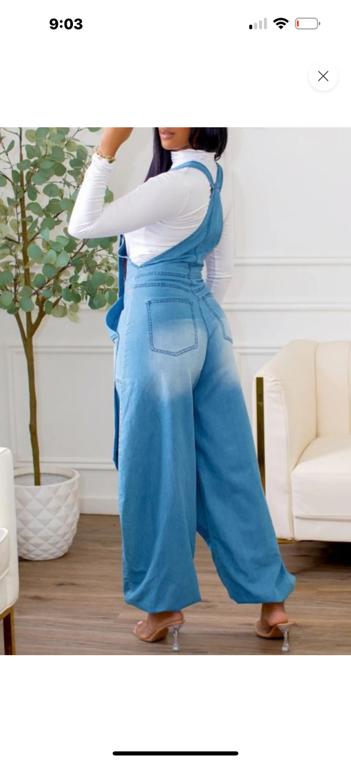 Wide-leg Zip Front Denim Overalls