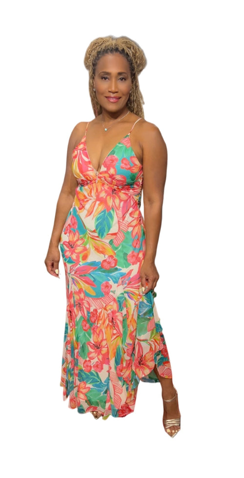 Hibiscus