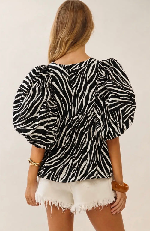 Zebra Stripes